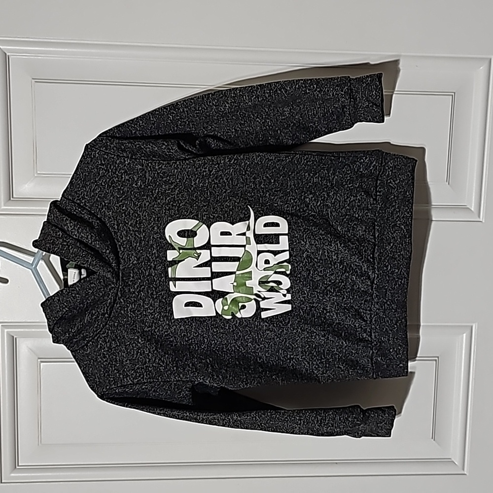 Toddler Dinosaur hooded sweatshirt